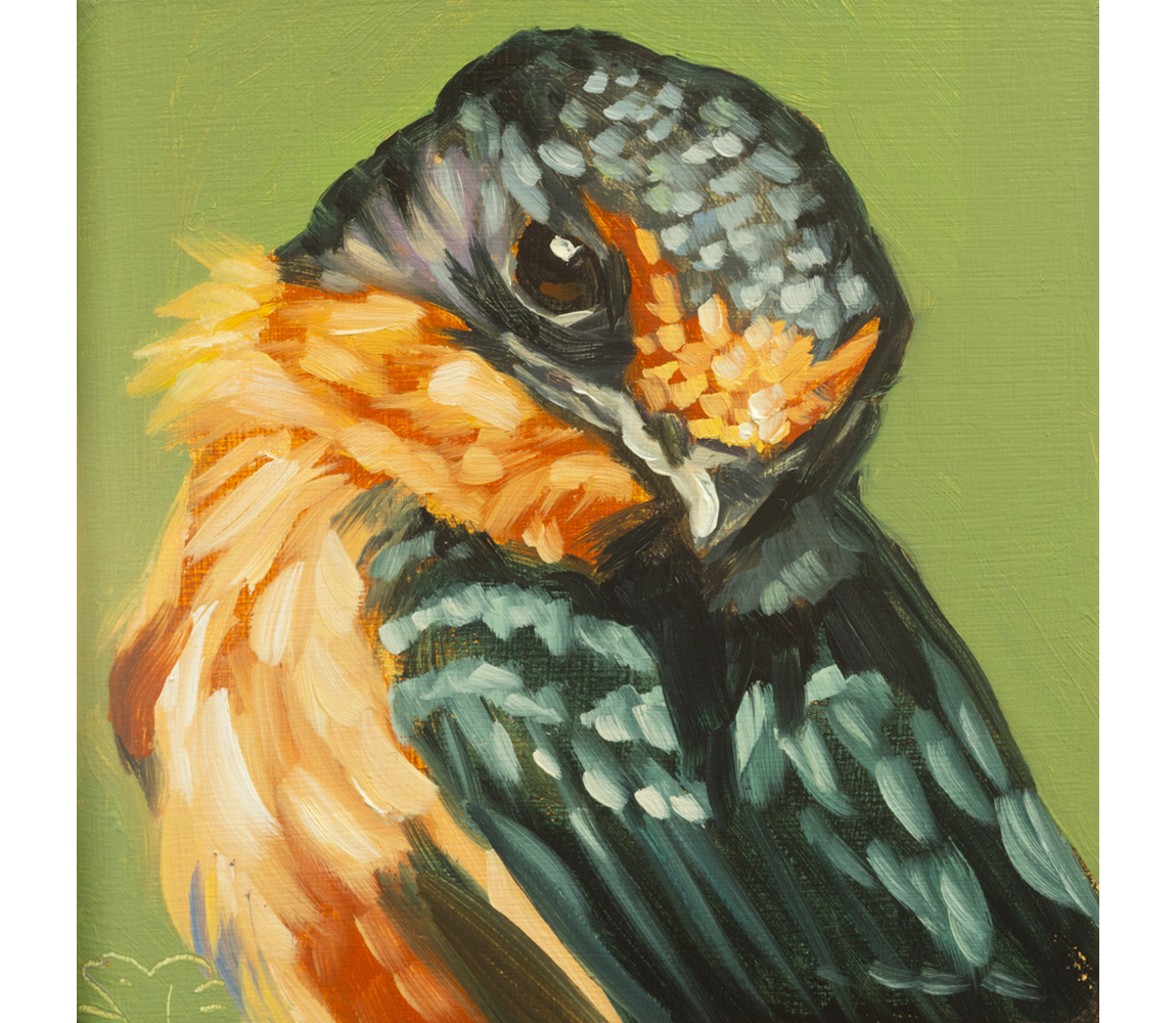 Sheila Evans "Barn Swallow"